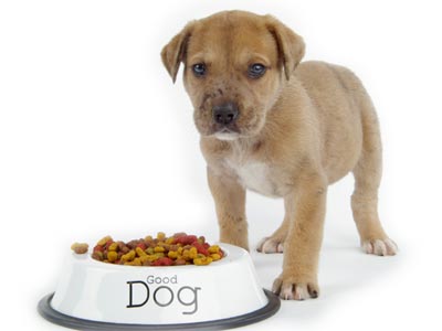 Mangime Puppy - Cuccioli e cagne Gravide